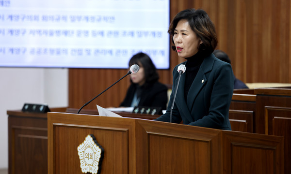 ▲ 문미혜 의원.
