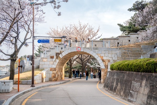 ▲ 문화관광해설프로그램 관련 사진.