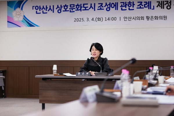 ▲ 황은하 의원이 '안산시 상호문화도시 조성에 관한 조례' 관련 간담회서 발언하고 있다.
