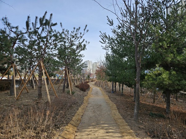 ▲ ‘기후 대응 도시 숲’ 조성 모습.