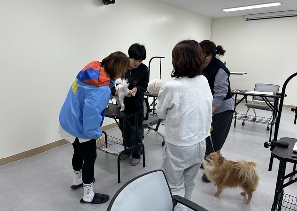 ▲ 남양주시 반려동물 교육 프로그램 운영 모습.
