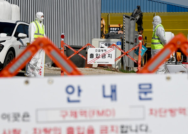 ▲ 전남에서 첫 구제역이 발생한 14일 오전 영암군 도포면의 한 구제역 발생 소 농장에서 방역 당국이 출입을 통제하고 있다. /뉴시스