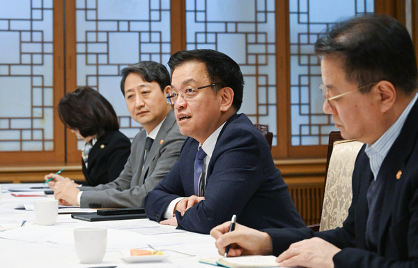 ▲ 최상목 대통령 권한대행, 대외경제현안간담회 주재하는 모습. /뉴시스