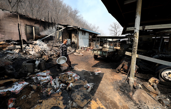 ▲ 경북 의성군 대형 산불 발생 이틀째인 23일 의성군 안평면 신월리 한 주택이 산불로 전소돼 폐허가 되어 있다.