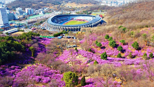 ▲ 진달래동산 전경.