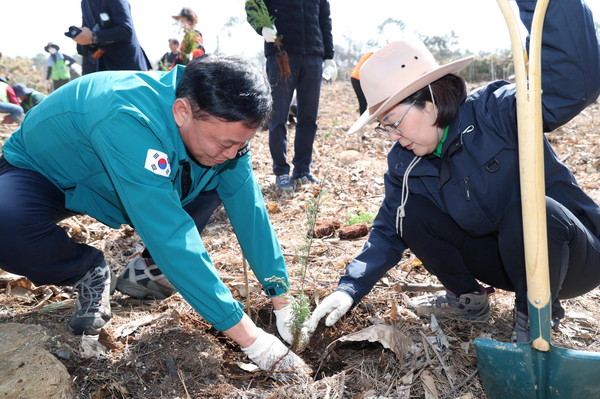 ▲ 화백나무를 식재하고 있는 김보라 안성시장(오른쪽).