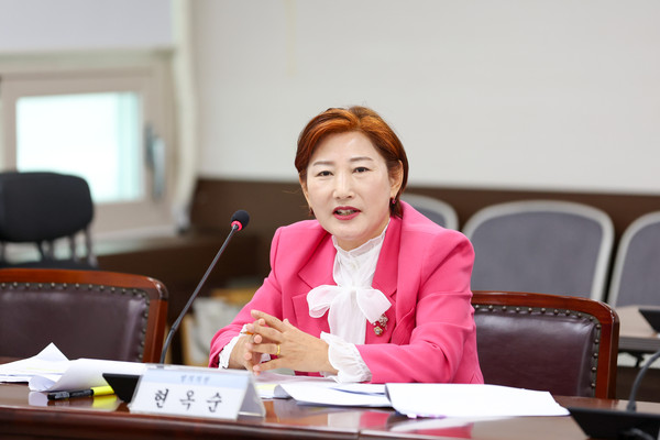 ▲ 현옥순 의원이 지난달 26일 제2상임위원실에서 열린 제296회 임시회 기획행정위원회에서 ‘안산시 청년친화도시 조성에 관한 조례안’에 대해 설명하고 있다.