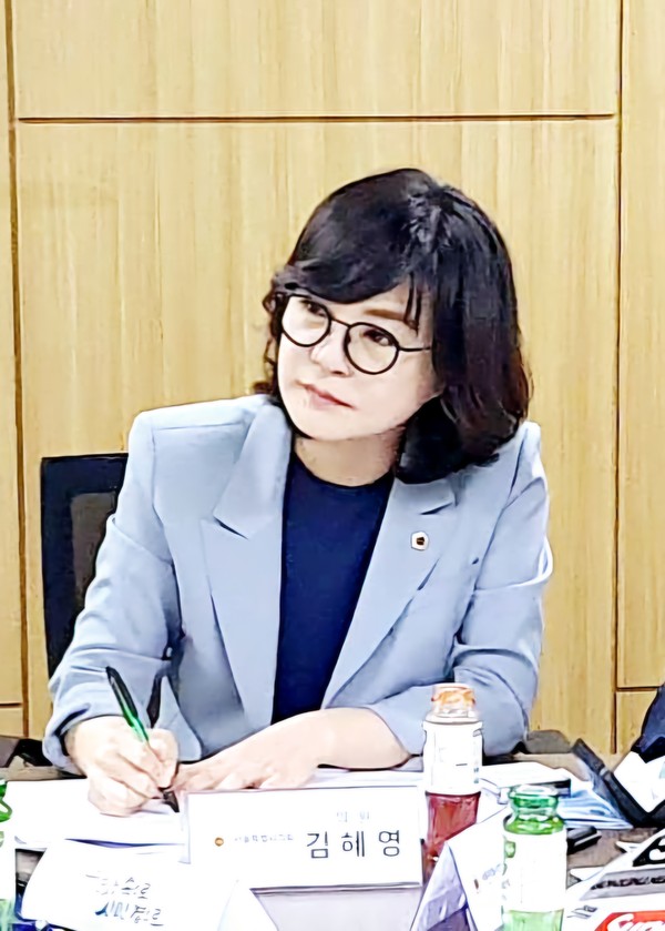 ▲ 김혜영 의원.