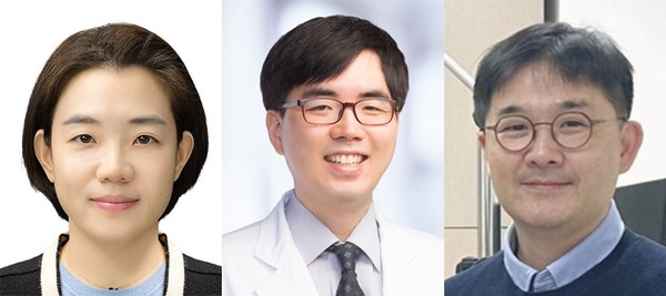 ▲ (왼쪽부터) 분당서울대병원 김지현 교수, 서울대병원 안요한, 정재호 교수.