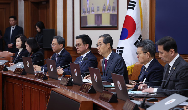 ▲ 한덕수 대통령 권한대행 주재 국무회의 개최 모습. /뉴시스
