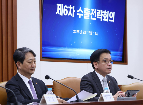 ▲ 최상목 대통령 권한대행, 수출전략회의 주재하는 모습. /뉴시스