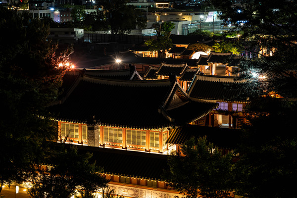 ▲ 야간개장 전경.