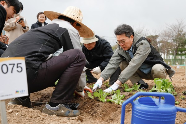 ▲ 정원오 성동구청장이 무지개텃밭에서 주민들과 경작하는 모습.