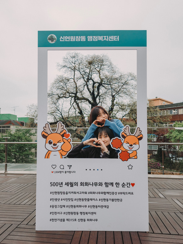 ▲ 인천 서구 신현원창동 행정복지센터, 회화나무 포토존.