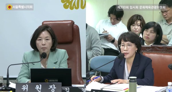 ▲ 제330회 임시회 문화체육관광위원회 문화본부 업무보고 및 질의·응답.