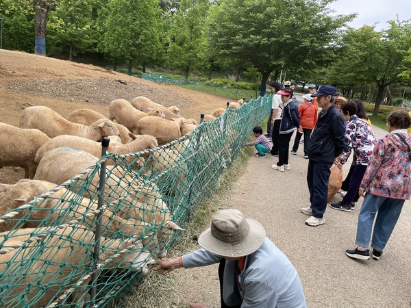 ▲ 남동구 치매안심센터, 치매환자와 봄 나들이 운영 모습.