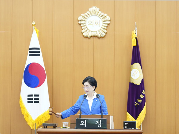 ▲ 타봉 중인 윤인숙 의장.