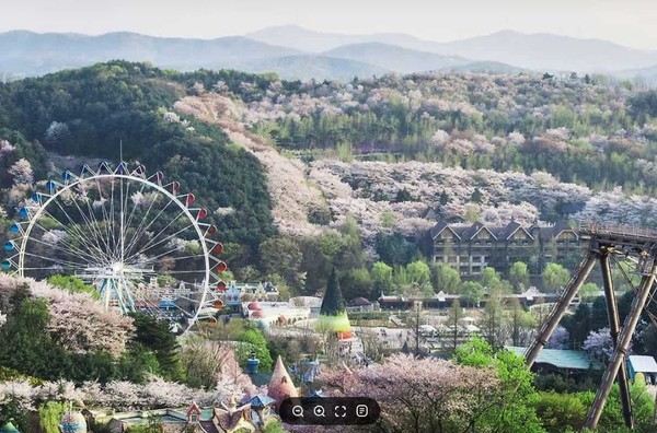 ▲ 에버랜드 전경.