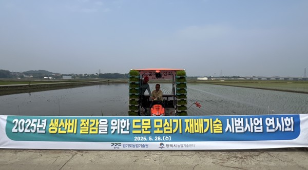 ▲ 평택시 벼 드문모 심기 재배 기술 연시회 개최 모습.