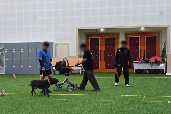 ▲ 맹견 기질평가 실시 모습.