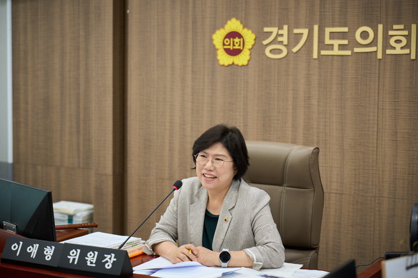 ▲ 경기도의회 교육행정위원회 이애형 위원장.