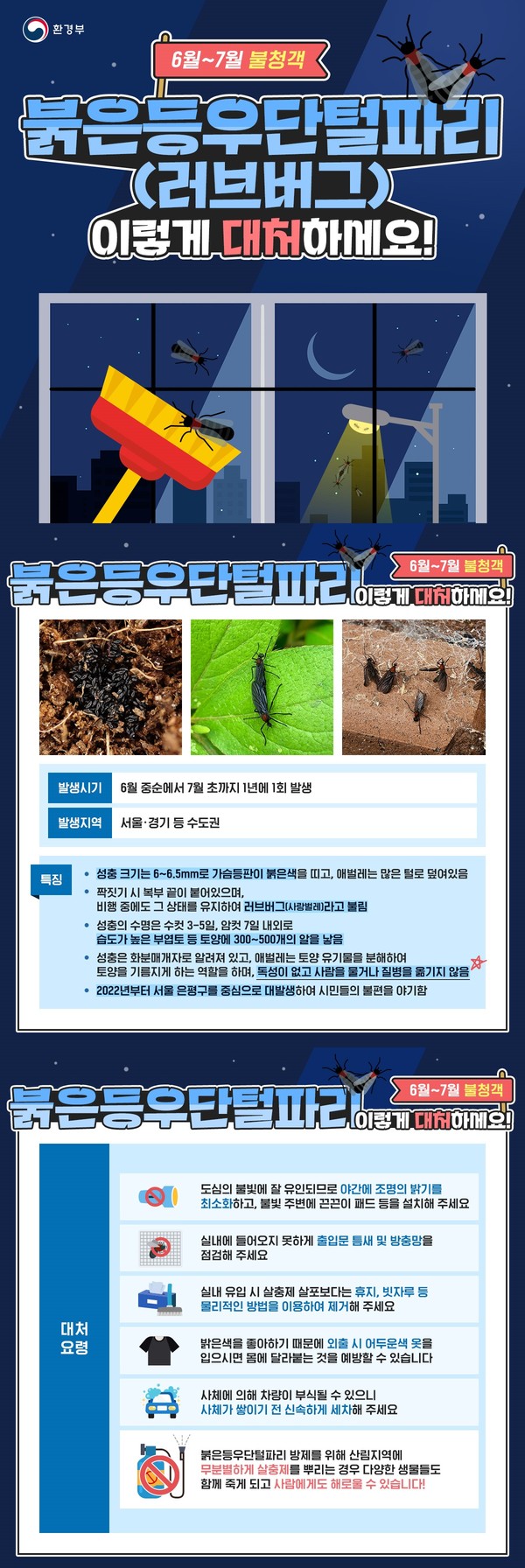 ▲ 러브버그 대처요령.