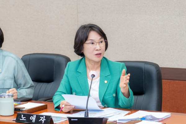 ▲ 강남구의회 노애자 의원.