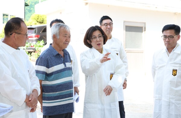 ▲ 김보라 안성시장 폭염 피해 우려 지역 현장 방문 모습.
