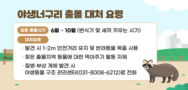 ▲ 야생너구리 출몰 대처 요령 홍보물.
