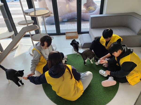 ▲ '유기동물과 함께하는 생명존중교육 연계 여름방학 봉사활동 프로그램' 운영 모습.