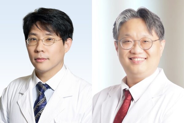 ▲ 분당서울대병원 이비인후과 최병윤 교수(왼쪽), 고대안산병원 이비인후과 최준 교수(오른쪽).