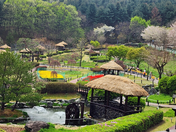 ▲ 용인특례시 농촌테마파크 여름철 전경.