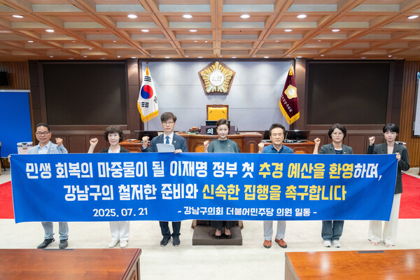 ▲ (왼쪽부터) 강남구의회 더불어민주당 소속 복진경·김광심·김형곤·김현정·김영권·김진경·오온누리 의원.
