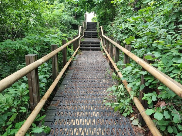 ▲ 만월산 전경.