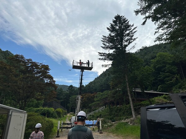 ▲ 소나무재선충병 확산 방지 위한 예찰 추진 모습.
