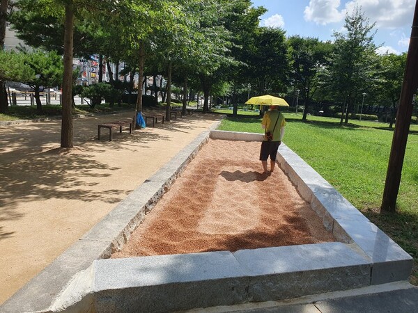 ▲ 양주시 관내 공원 맨발길.