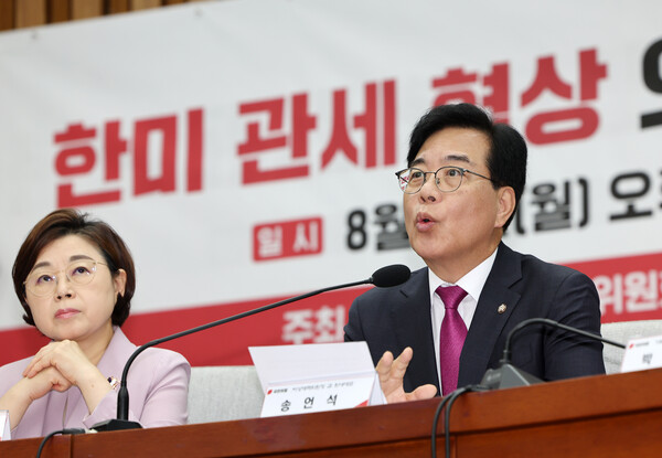 ▲ 발언하는 송언석 비대위원장. /뉴시스