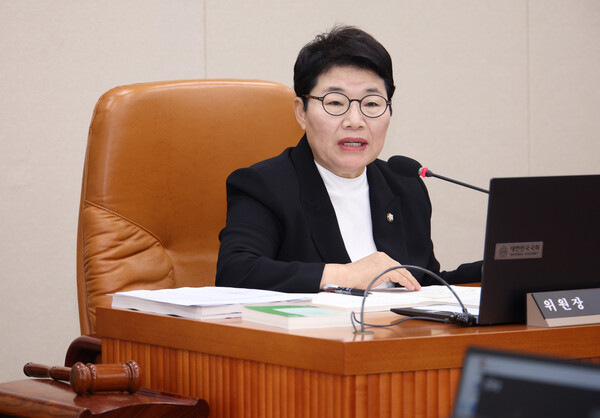 ▲ 인사청문회 주재하는 임이자 위원장. /뉴시스