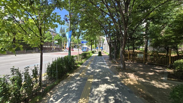 ▲ 구월로 가로수 터널 전경.