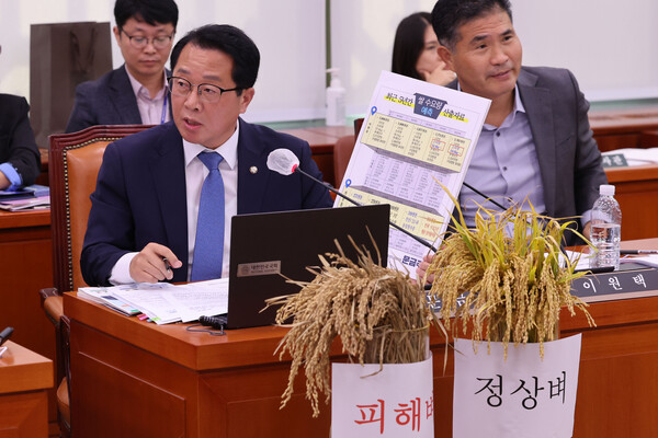 ▲ 농해수위 국정감사, 질의하는 문금주 의원. /뉴시스