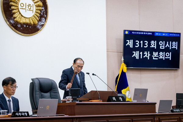 ▲ 성북구의회 임태근 의장이 제313회 임시회를 주재하고 있는 모습.