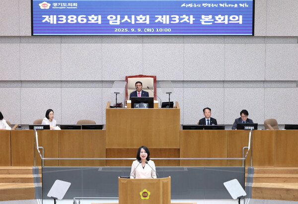 ▲ 이병숙 의원이 제386회 임시회 제3차 본회의에서 도정질문을 하고 있다.