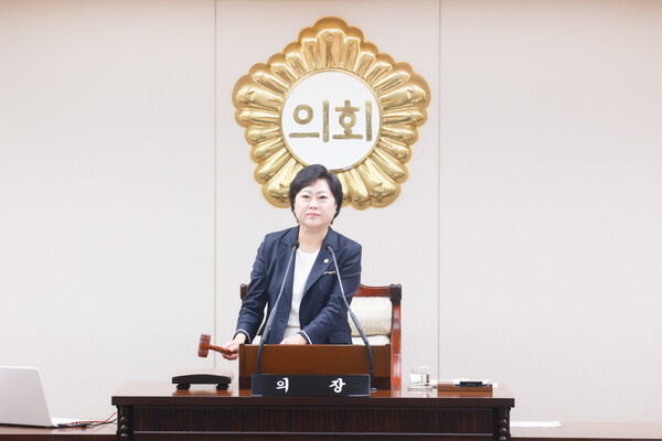 ▲ 안애경 의장이 제271회 임시회 제4차 본회의에서 타봉을 하고 있다.