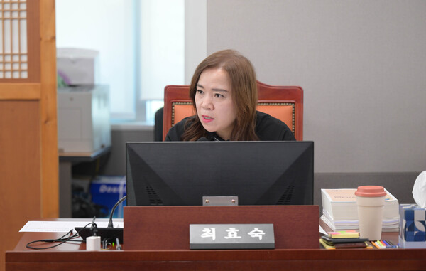 ▲ 경기도의회 최효숙 의원.