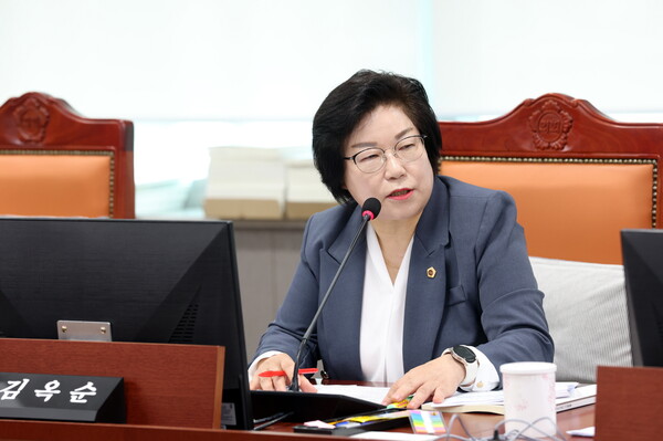 ▲ 경기도의회 김옥순 의원.