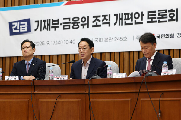 ▲ 기재부·금융위 조직 개편안 긴급 토론회, 발언하는 김도읍 정책위의장. /뉴시스