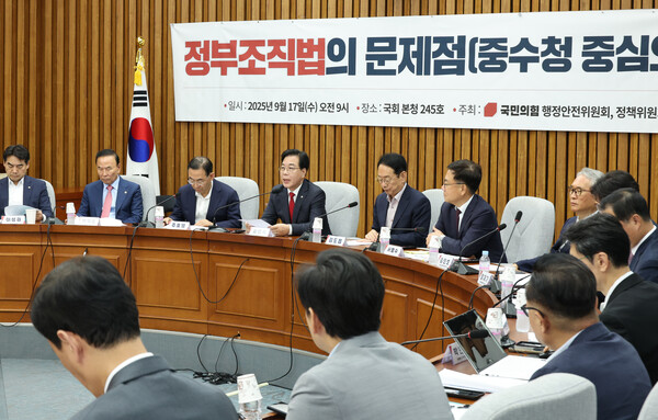 ▲ '정부조직법의 문제점' 발언하는 송언석 원내대표. /뉴시스