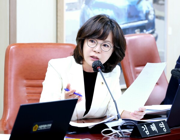 ▲ 서울특별시의회 김혜영 의원.