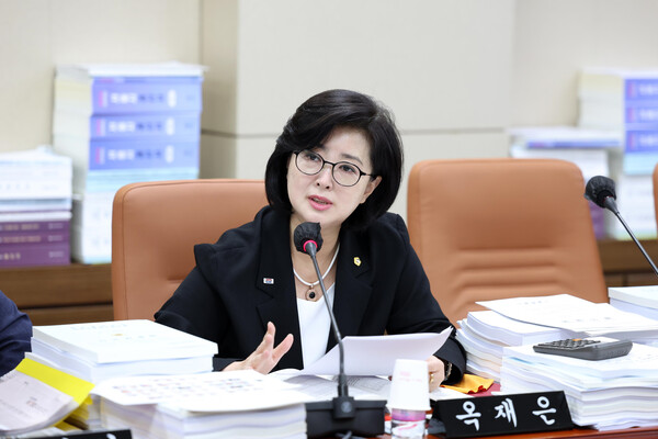 ▲ 서울특별시의회 옥재은 의원.