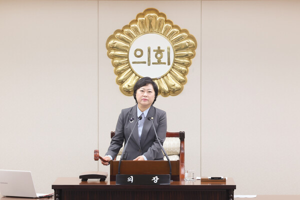 ▲ 안애경 의장이 제272회 임시회 제1차 본회의에서 타봉을 하고 있다.